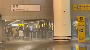 Пассажиры в Шереметьево попали под "дождь" из-за ложного срабатывания сигнализации