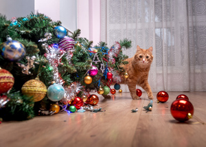 Как с помощью фольги и смекалки защитить новогоднюю ёлку от котиков — советы бывалых