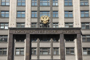 Законопроект о пожизненном сроке за диверсии допущен к I чтению в Госдуме