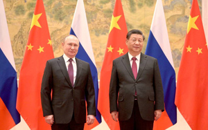 В Кремле заявили о готовящихся контактах Путина и Си Цзиньпина