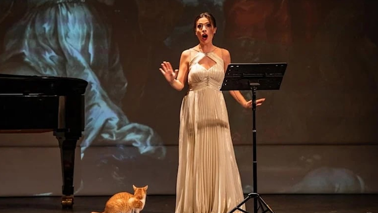 Пристававшие весь концерт к артисткам оперы Стамбула кошки позабавили зрителей