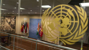 США признали невозможность исключения России из состава Совбеза ООН