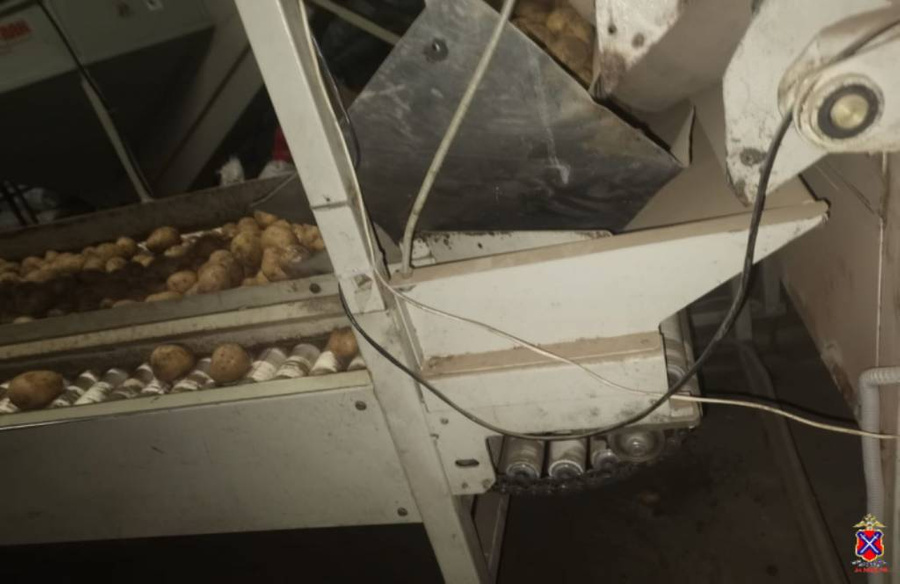 Транспортировочная лента в цехе по фасовке овощей в Волгограде, которая отрезала девочке кисть руки. Обложка © ГУ МВД России по Волгоградской области