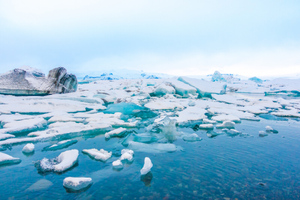 Российские учёные сформировали новый исследовательский полигон в центральной Арктике