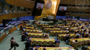В ООН выступили за мир на Украине и против поставок оружия
