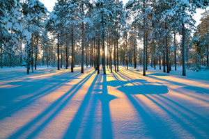 Названы самые верные народные приметы на день зимнего солнцестояния 21 декабря