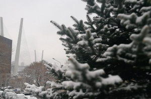 В Приморье с 21 декабря объявили штормовое предупреждение из-за сильного снега