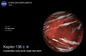 Kepler-138 c. Фото © NASA