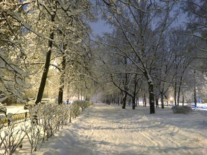 Настоящей русской зимой обернётся новогодняя ночь в Центральной России