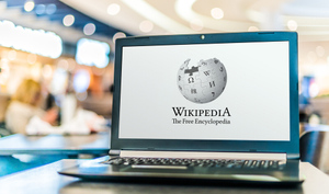 Названы сроки запуска российского аналога "Википедии"