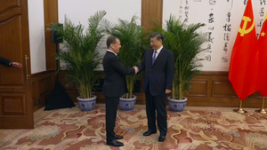 Медведев встретился с Си Цзиньпином в Пекине и передал ему послание от Путина