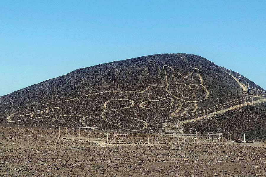 Один из самых известных геоглифов на плато Наска. Фото © theartnewspaper.ru / Johny Islas/Peru's Ministry of Culture-Nasca-Palpa