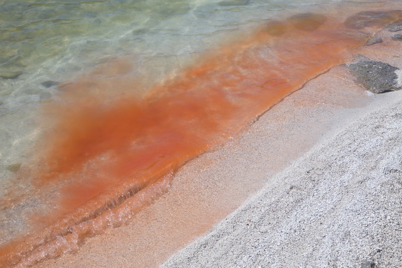 Красно-рыжая вода у берега озера Горячее. Фото © VK / Заповедник "Курильский" / Сергей Стефанов