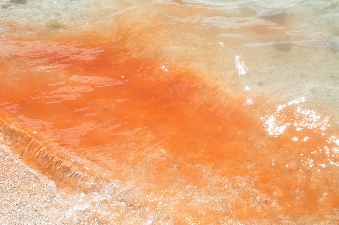 Красно-рыжая вода у берега озера Горячее. Фото © VK / Заповедник "Курильский" / Сергей Стефанов