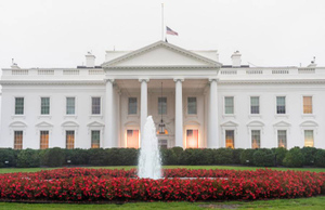 Hill: США могут бросить Украину как Афганистан