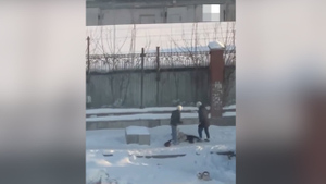 В Екатеринбурге двое мужчин избили и утащили пьяную женщину