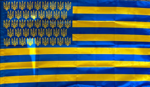 "Поганые цвета!": "Украинизированный" флаг США разозлил американцев