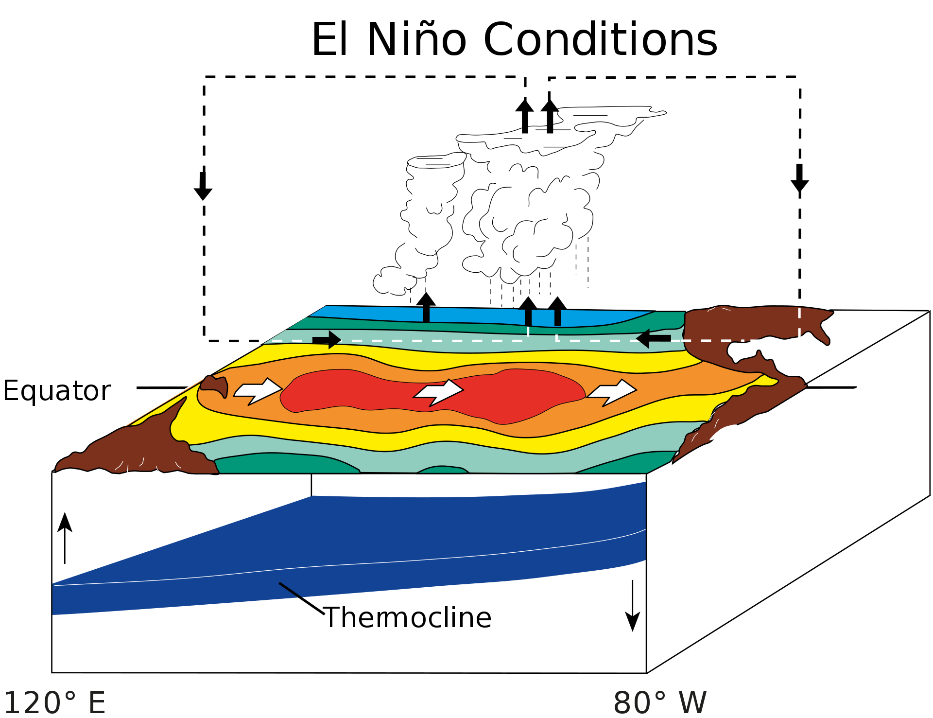 Условия образования Эль-Ниньо: массив тёплой воды движется к южноамериканскому побережью. Отсутствие поднимающихся с глубины холодных вод усиливает потепление. Инфографика © Wikipedia / Fred the Oyster