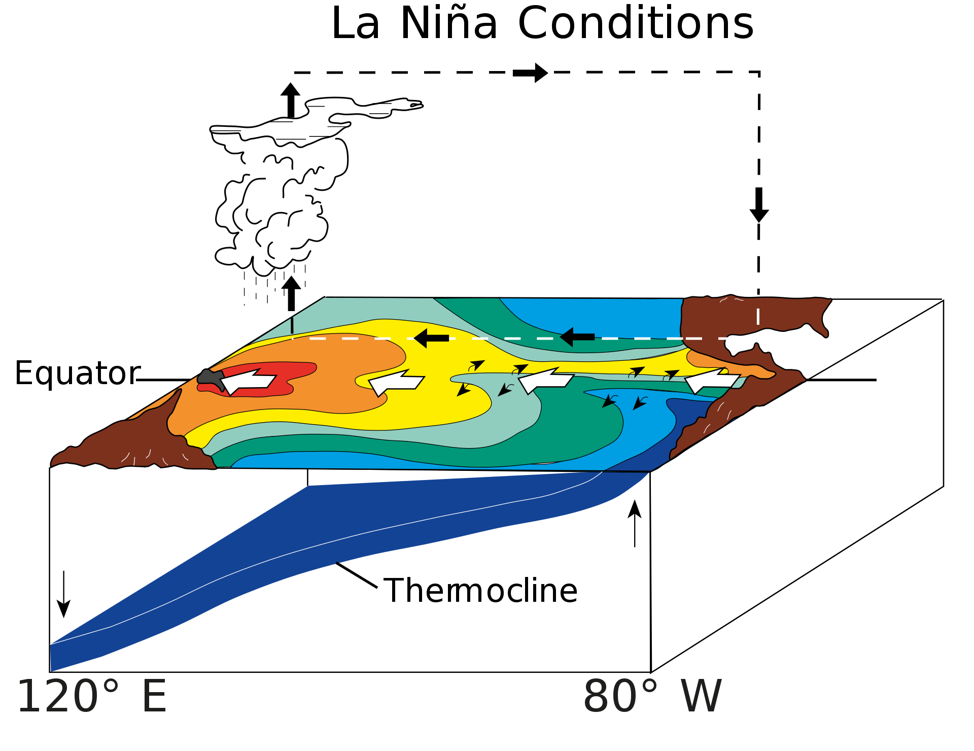 Условия образования Ла-Нинья: тёплые воды сдвигаются западнее, чем обычно. Инфографика © Wikipedia / Fred the Oyster