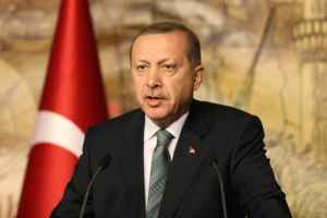 Эрдоган пообещал опубликовать новые данные по газовым месторождениям в Чёрном море