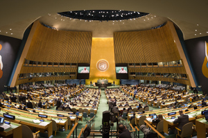 Украина захотела провести "мирный саммит" в ООН без России