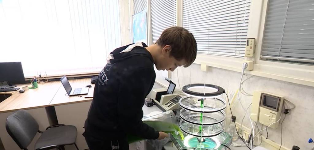 Петербургский школьник разработал фото-биореактор для очистки воздуха