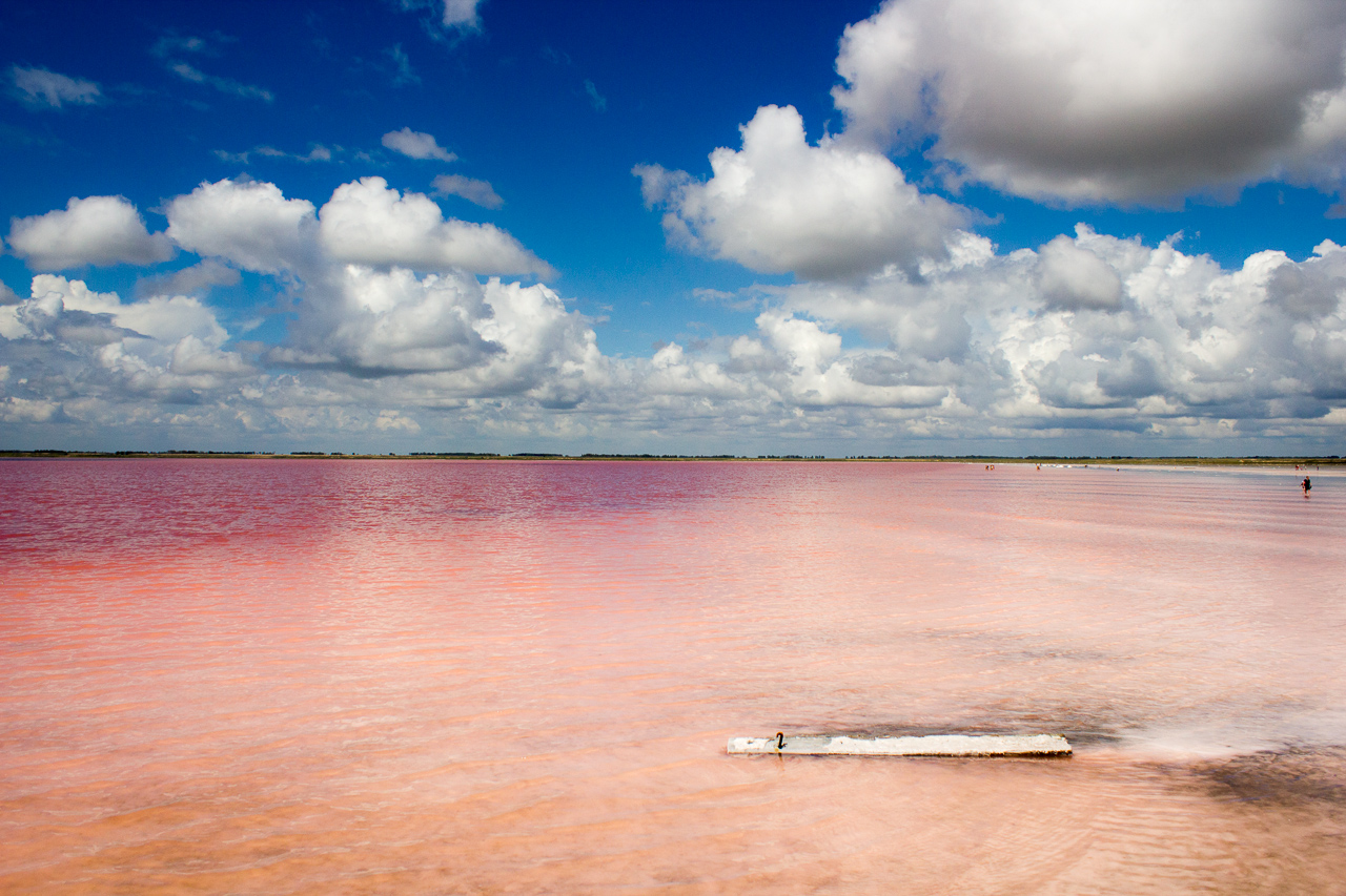 Розовое солёное озеро Бурсоль, Алтайский край. Фото © Wikipedia / Coopypasted