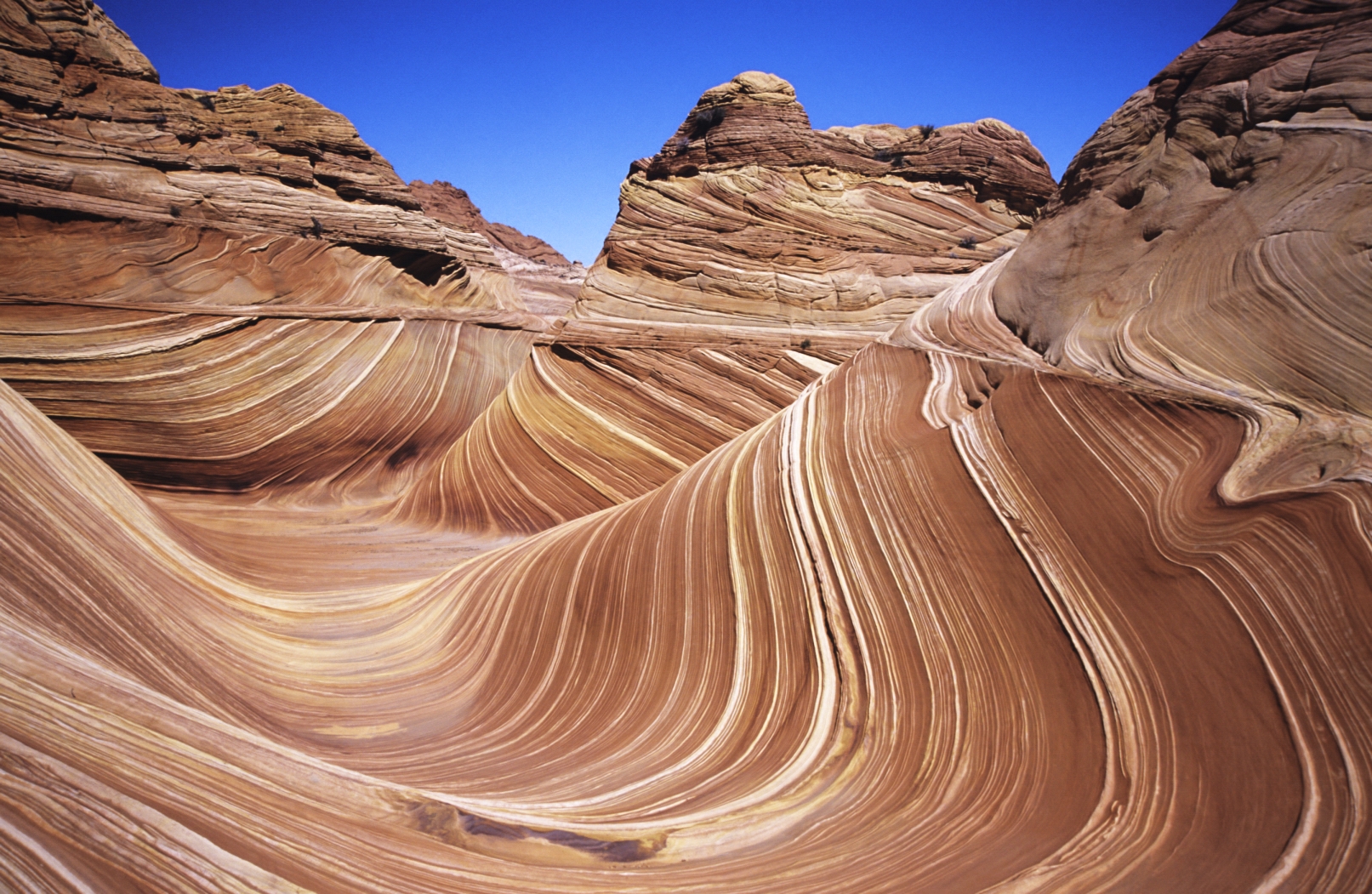 "Аризонская волна" — песчаниковая скальная формация на границе штатов Аризона и Юта, США. Фото © Wikipedia