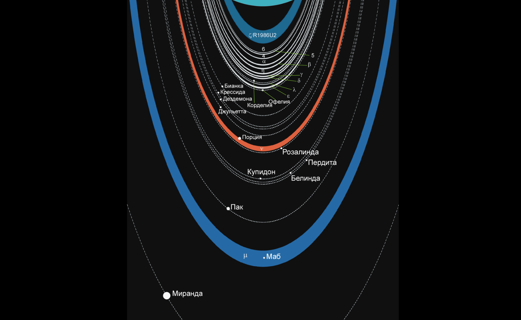 Схема расположения колец и спутников Урана. Фото © Wikipedia