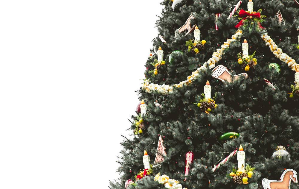 В подмосковных Бронницах спилили новогоднюю ель, которая мешала обзору камеры наблюдения
