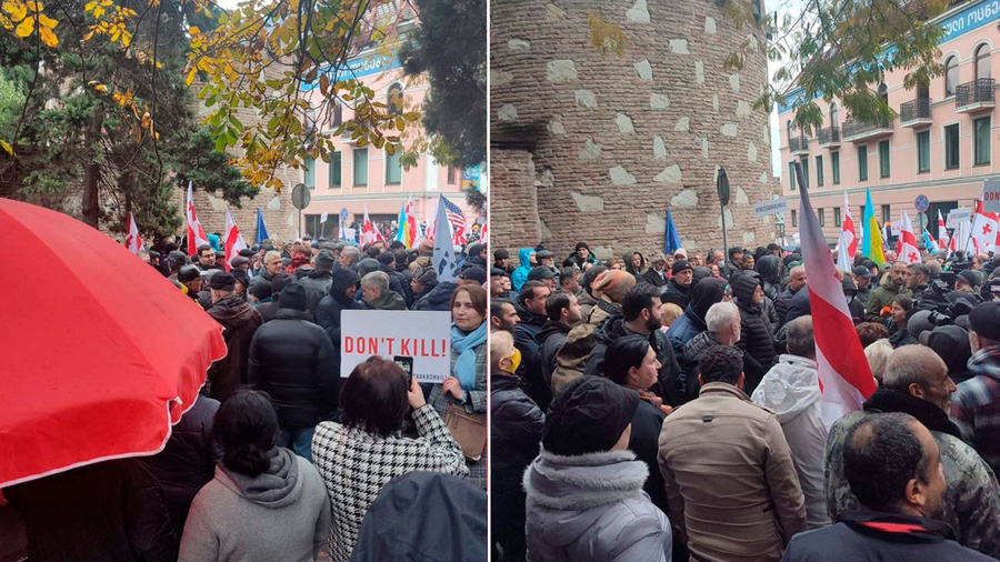 Фото с акции сторонников Саакашвили в Тбилиси. Обложка © Twitter / Oleg-Sandro Panfilov