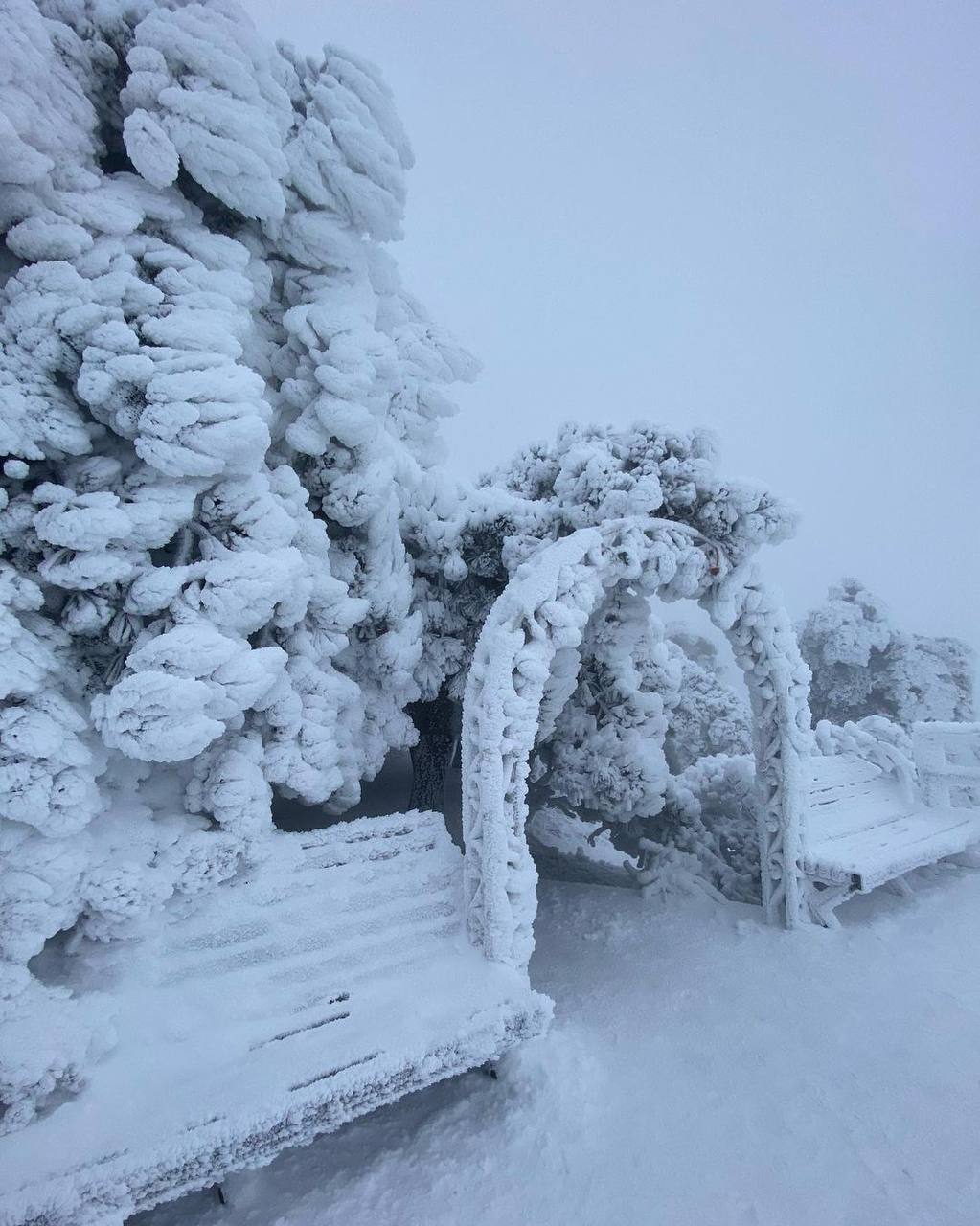 Последствия ледяного дождя на горе Машук. Фото © Instagram (признан экстремистской организацией и запрещён на территории Российской Федерации) / elenalimans