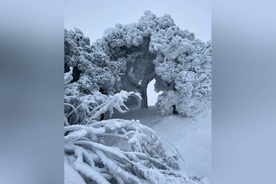 Последствия ледяного дождя на горе Машук. Фото © Instagram (признан экстремистской организацией и запрещён на территории Российской Федерации) / elenalimans