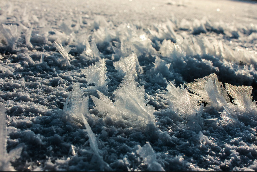 Весна лыткарино фото