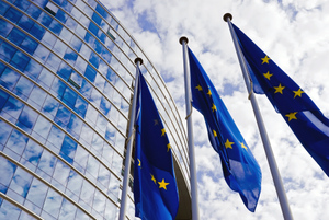 FT: В новый пакет санкций ЕС войдёт контроль над экспортом продукции
