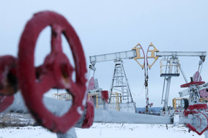 "Рубят сук, на котором сидят": МИД указал Западу на большой просчёт из-за потолка цен на нефть