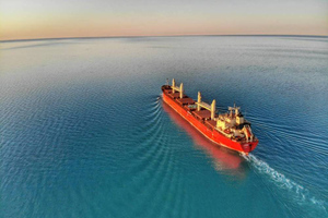 МИД РФ выразил обеспокоенность ситуацией со скоплением танкеров у Босфора