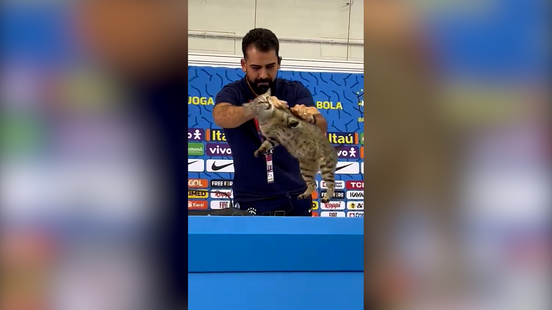 Пресс-атташе сборной Бразилии грубо сбросил кота со стола во время пресс-конференции на ЧМ