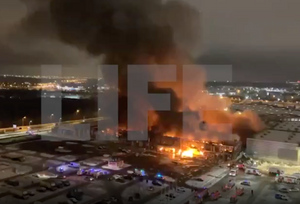 Страховщики назвали рекордной многомиллиардную сумму ущерба от пожара в ТЦ "Мега Химки"