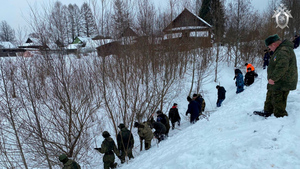Тело пропавшей в Новгородской области девочки удалось найти на снимках с беспилотника