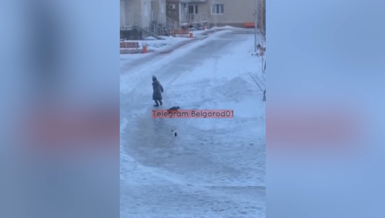 В Белгороде девочка устроила жестокие игры с котом и нарвалась на проверку полиции