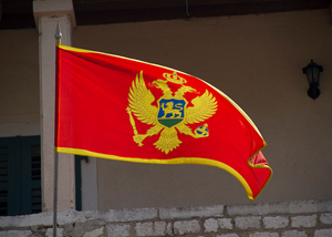 Черногория рекомендовала своим гражданам покинуть Украину