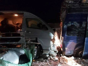 Пятеро пострадали при столкновении двух маршруток и лошади в Иркутской области