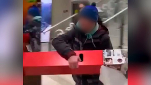 Утащили прилюдно: Подростки на Камчатке украли ящик с пожертвованиями для зооприюта