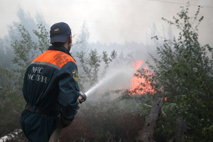 Кабмин выделит на тушение лесных пожаров в 2,5 раза больше денег в 2022 году