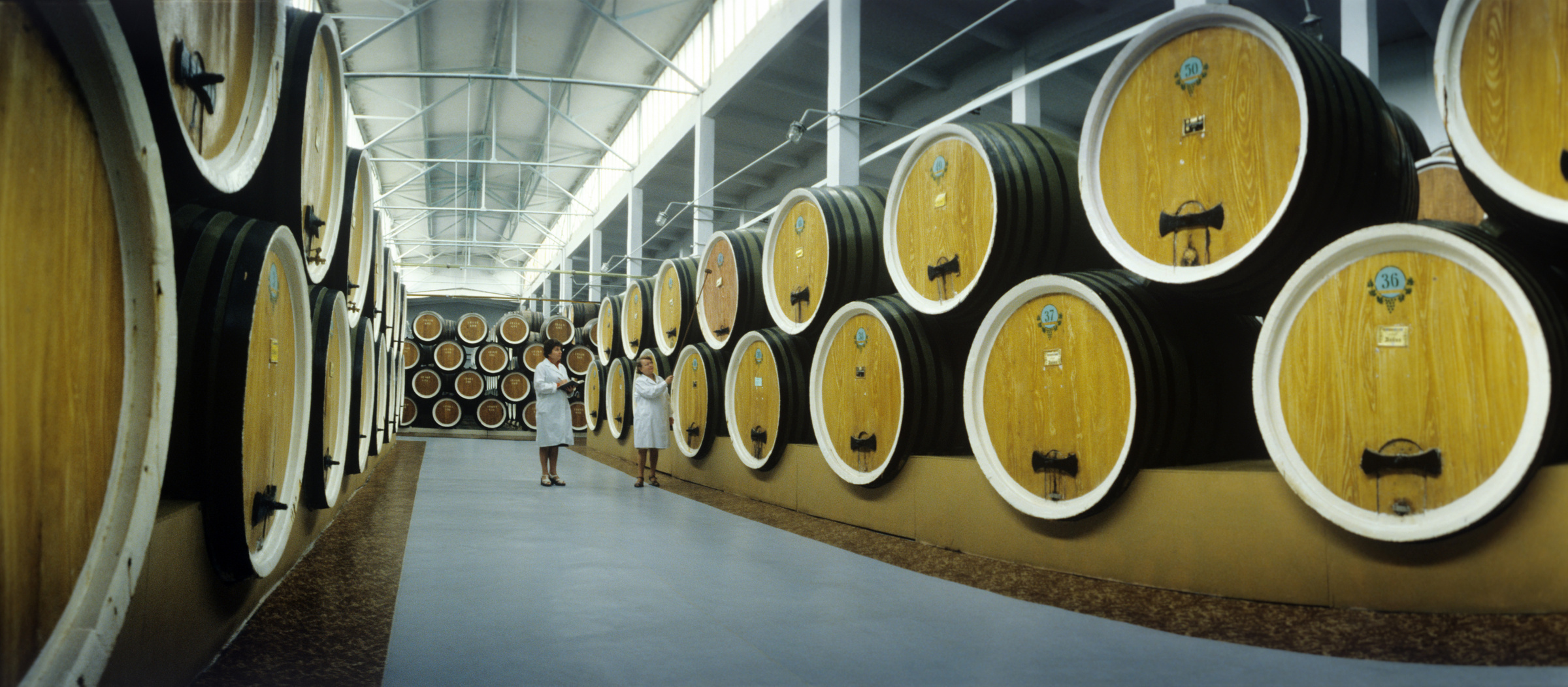 Тираспольский винно-коньячный завод, 1980 год. Фото © ТАСС / Юрий Лизунов, Альберт Симановский