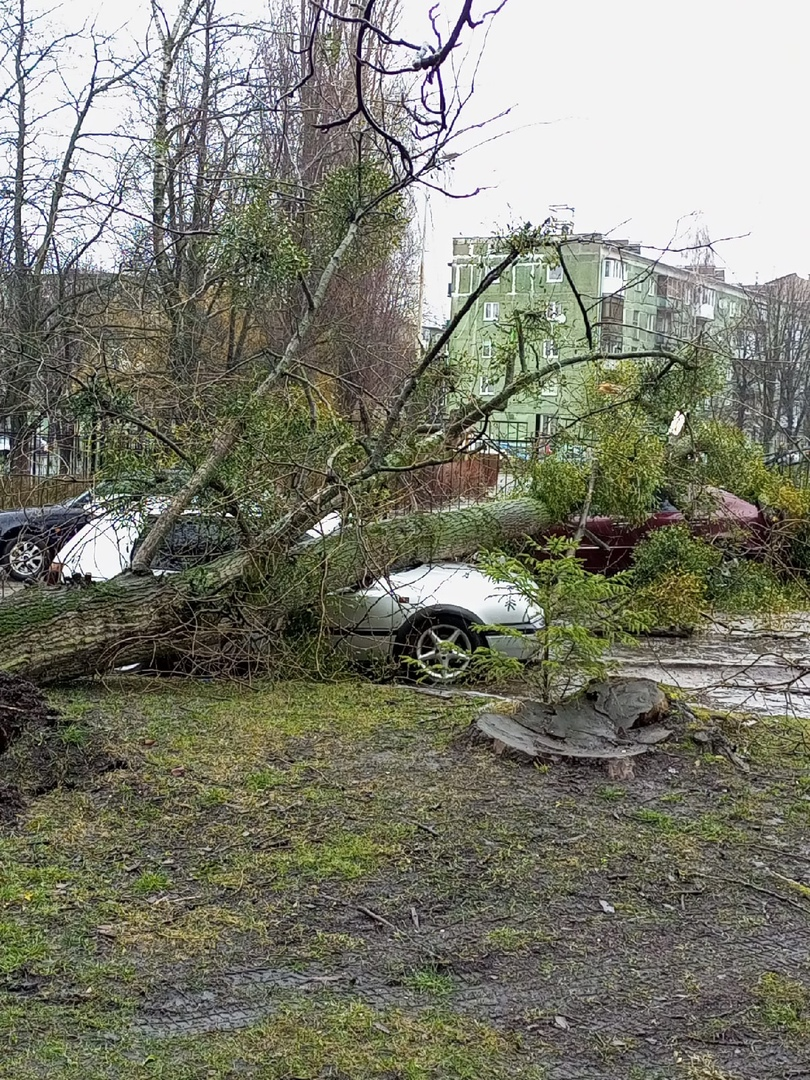Последствия шторма в Калининграде. Фото © VK / Сообщество автомобилистов Калининграда и области / Виктория Сайгушева