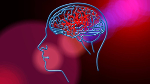 Невролог Евсютина перечислила признаки поражения сосудов мозга