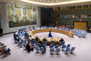 Совбез ООН не поддержал резолюцию РФ по гуманитарной ситуации на Украине