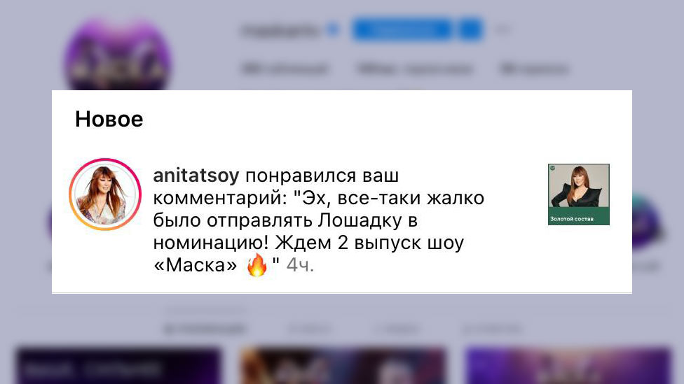 Анита Цой поставила лайк комментарию, который был написан в поддержку Лошади. Фото © Telegram / ШОУ "МАСКА" РОССИЯ